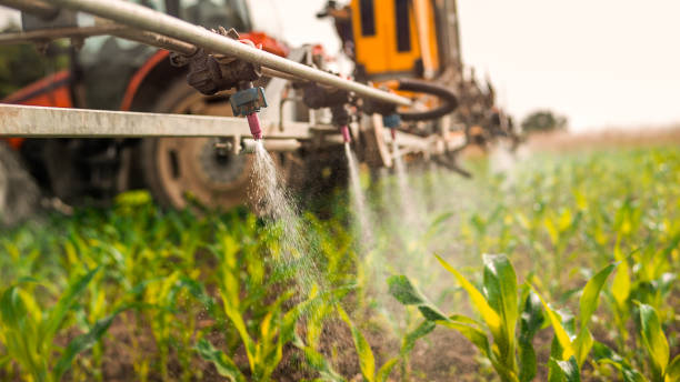 Insect Control in North Pekin, IL